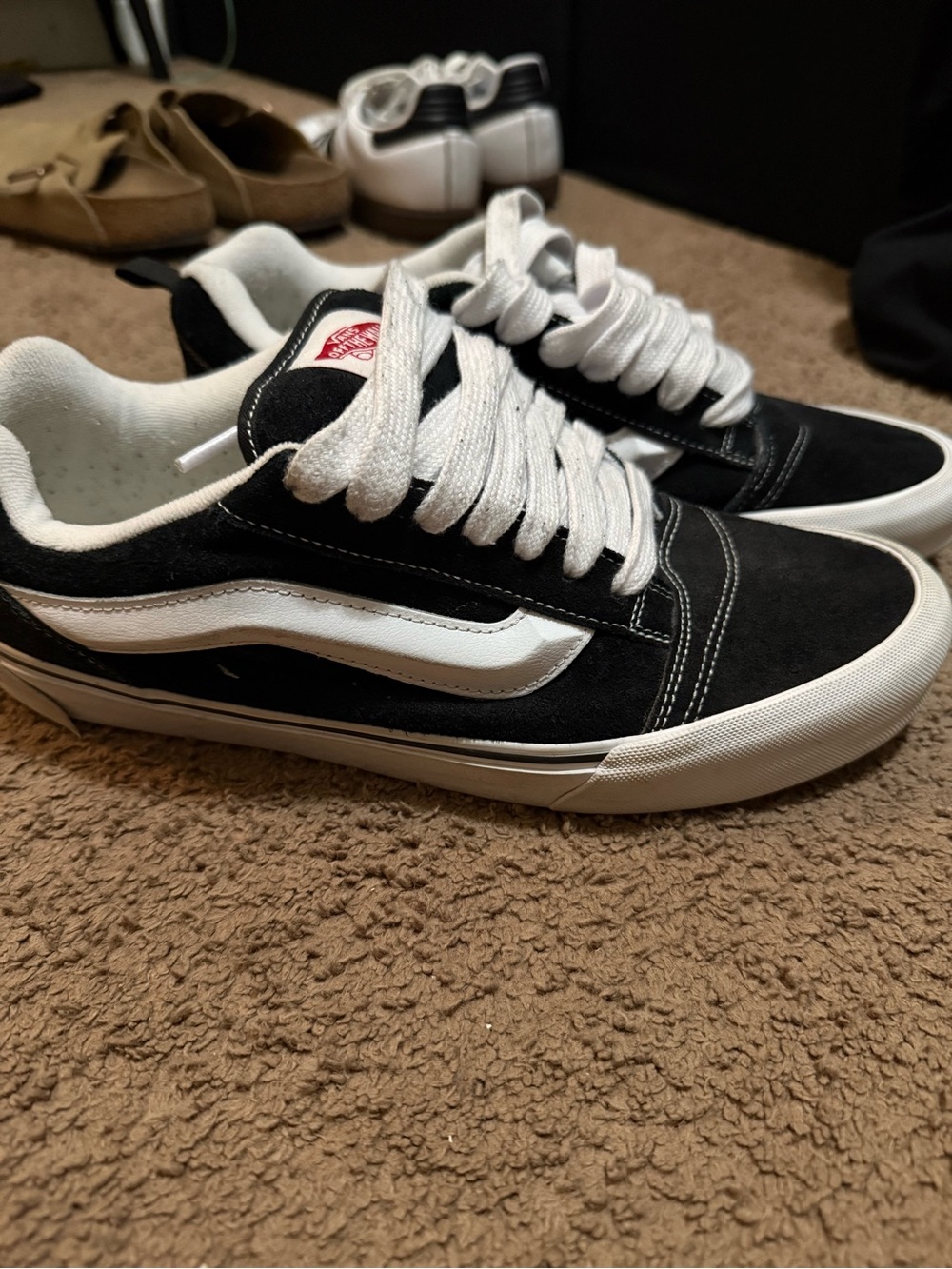 Vans Black and White Low-Top Skate Sneakers